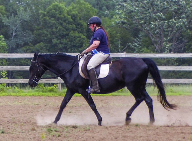 Neck extension at a fox trot