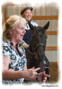 2013-jennie-jackson-dressage-en-gaite-clinic