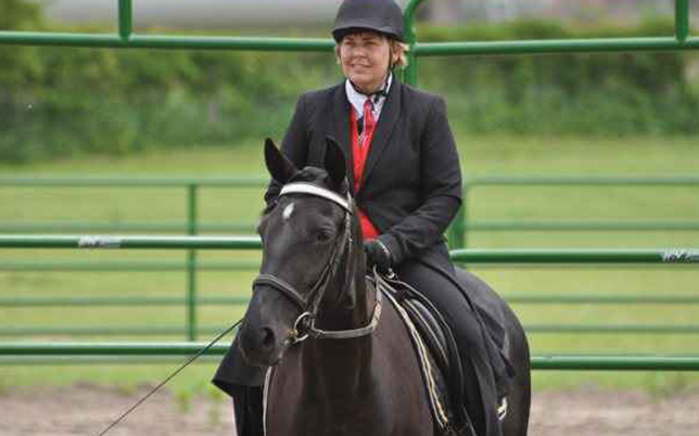 Tennessee Walking Horse Rail Class Shows