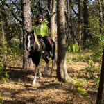 trail riding on a smooth naturally gaited horse